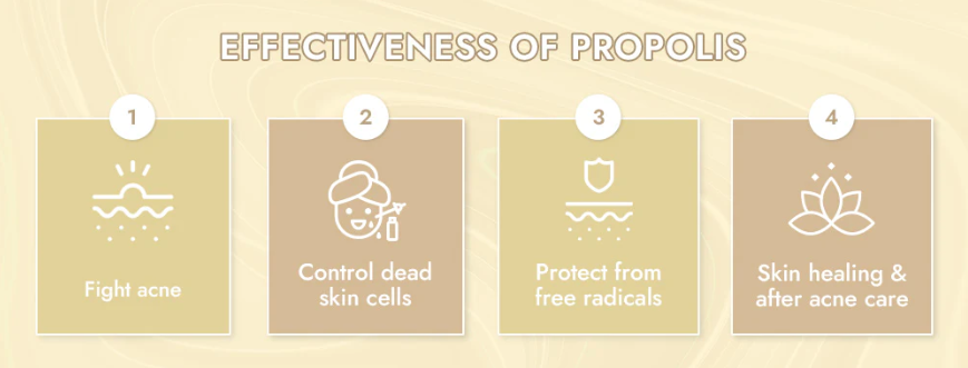 Have You Heard of Propolis?